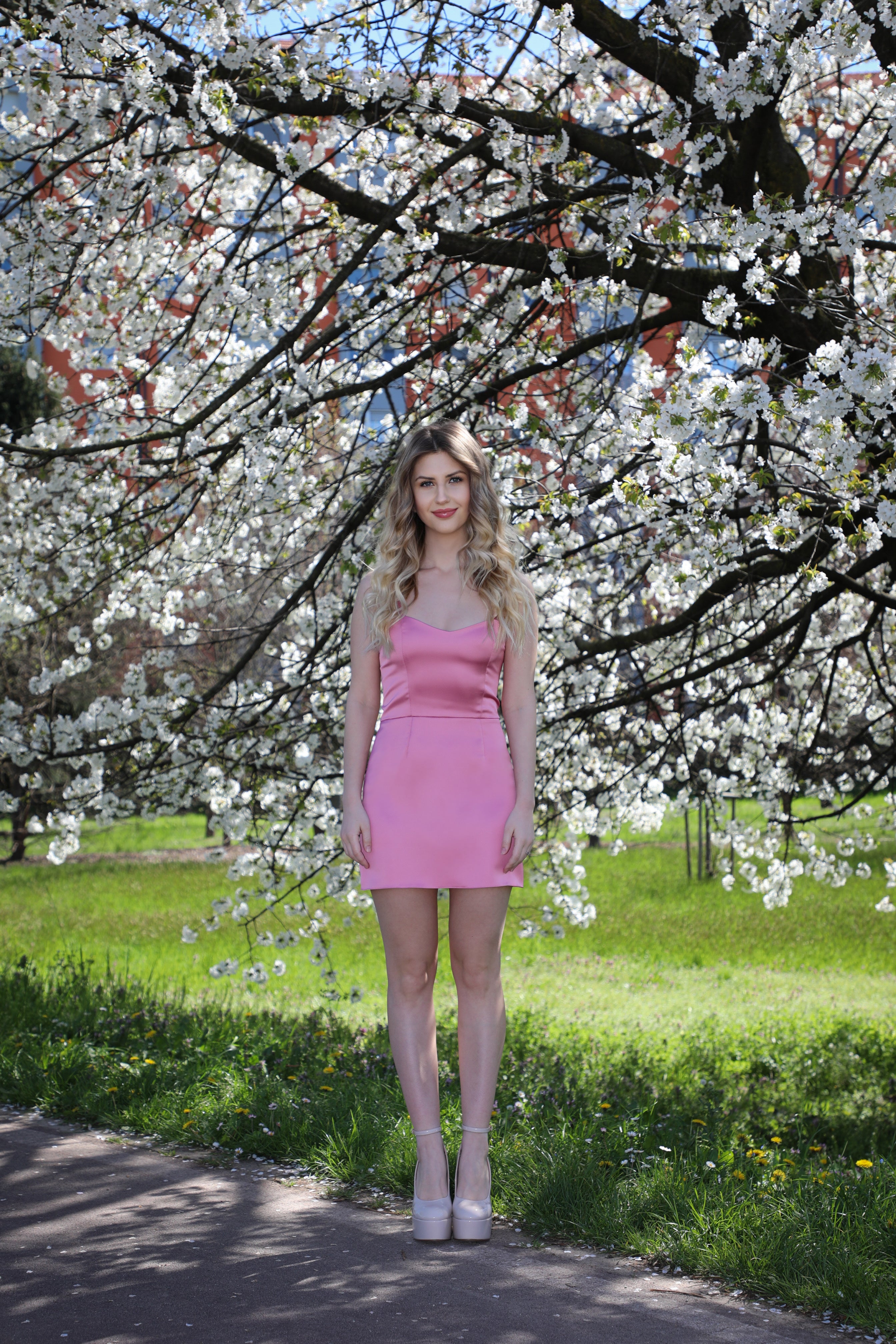 Little Pink Dress