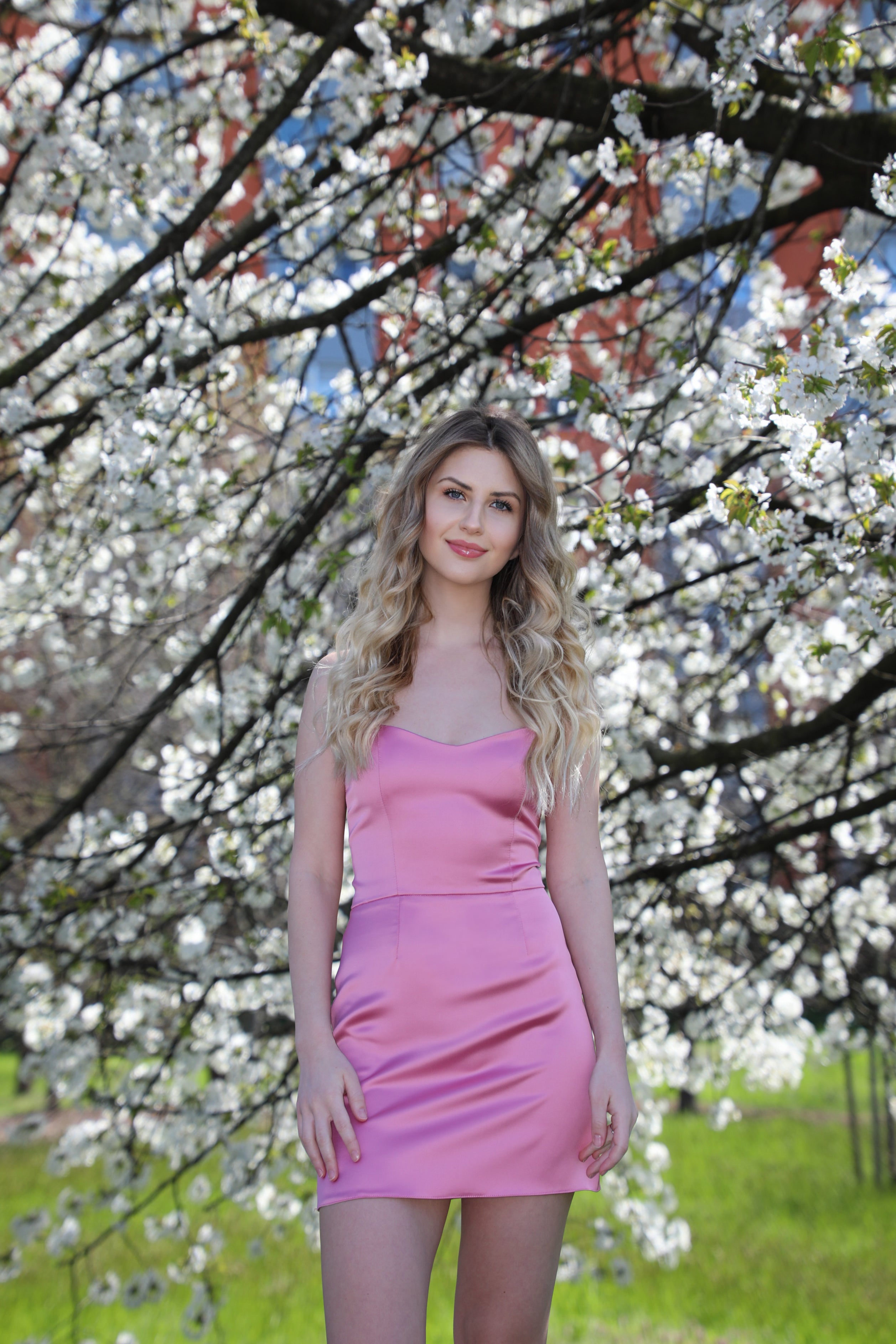 Little Pink Dress